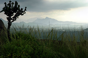 landscape near Sigiriya seen from Pidurangala rock