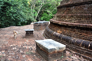 stupa of Pidurangala archaeological site in Sri LankaPicture