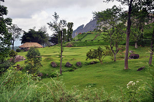 gardens of Hunas Falls Hotel near Kandy