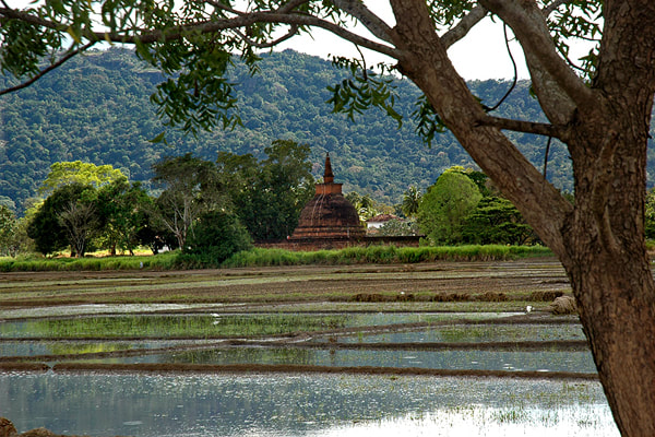 ancient stupa of Dematamal Vihara near Buttala