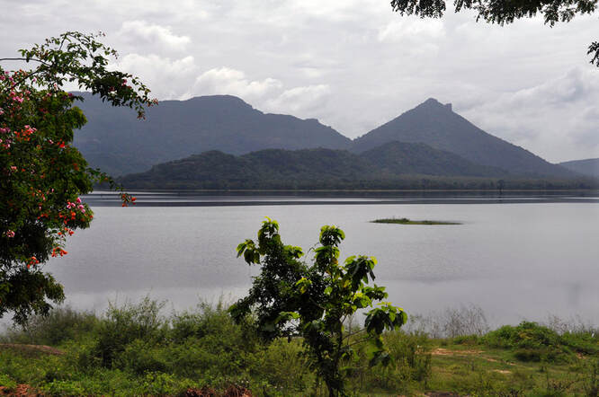 Kandalama lake near Dambulla