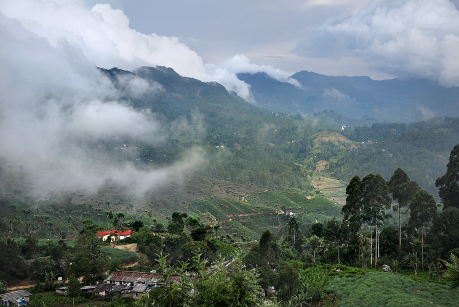 mountains of Haputale in the Uva highlands of Sri Lanka