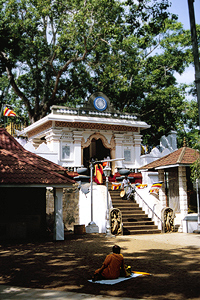 Sacred Bo-tree in Anuradhapura