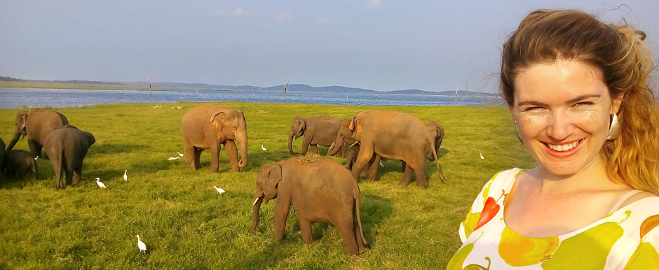 Sri Lanka holidays with elephant safari in Minnieriya