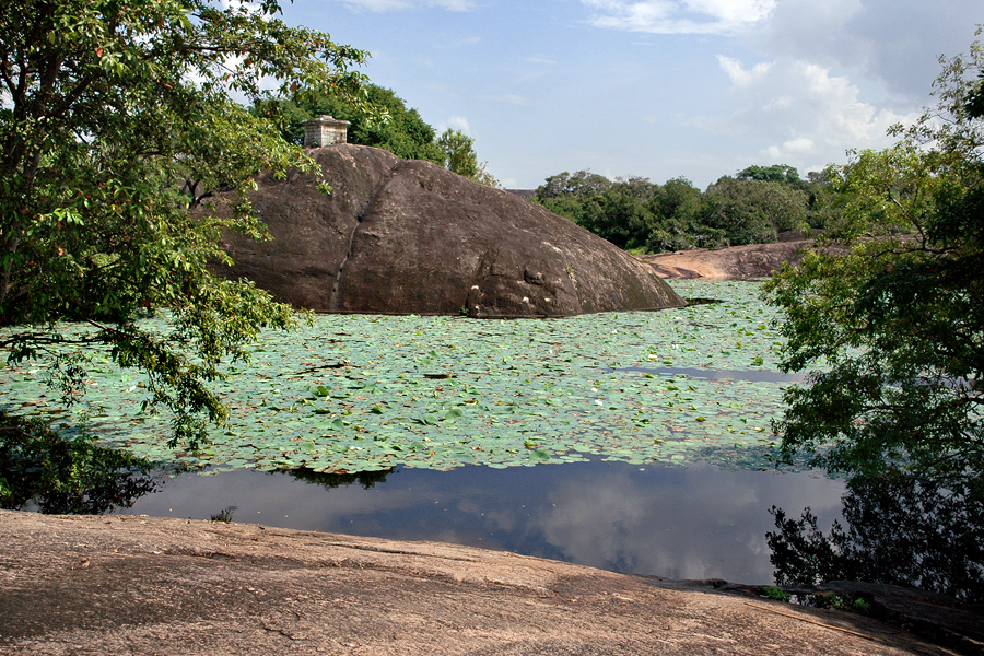 Lotus pond in Thanthirimale