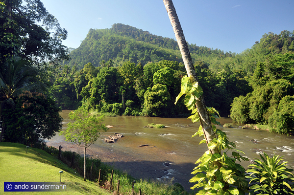 Kelani river near Kithulgala Rest House