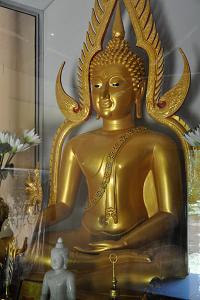 Siamese Buddha statue in Namal Uyana
