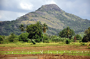Nikula mountain of Menikdena