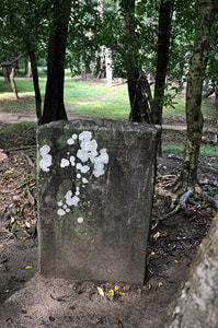 slab inscription in Kaludiya Pokuna in Sri Lanka's Matale District