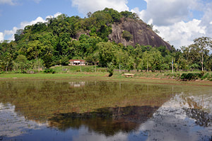 castle rock of Dambadeniya