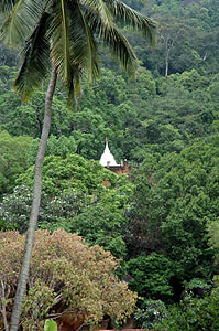Sankapala Vihara near Pallebedda