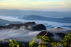 Sinharaja Range seen from the top of Siri Pada