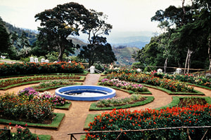 Hakgala Botanical Garden near Nuwara Eliya