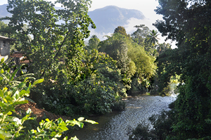 Kelani river in Kitulgala