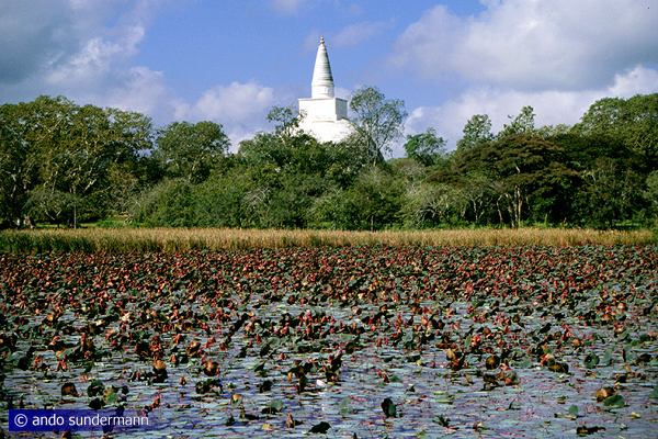 giant stupa Mirisaveti in Anuradhapura 