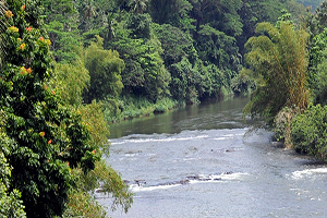 Kelani Ganga was River Kwai setting