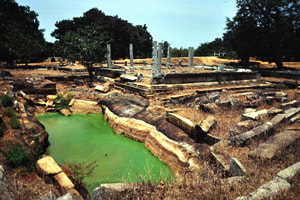 Anuradhapura western monasteries