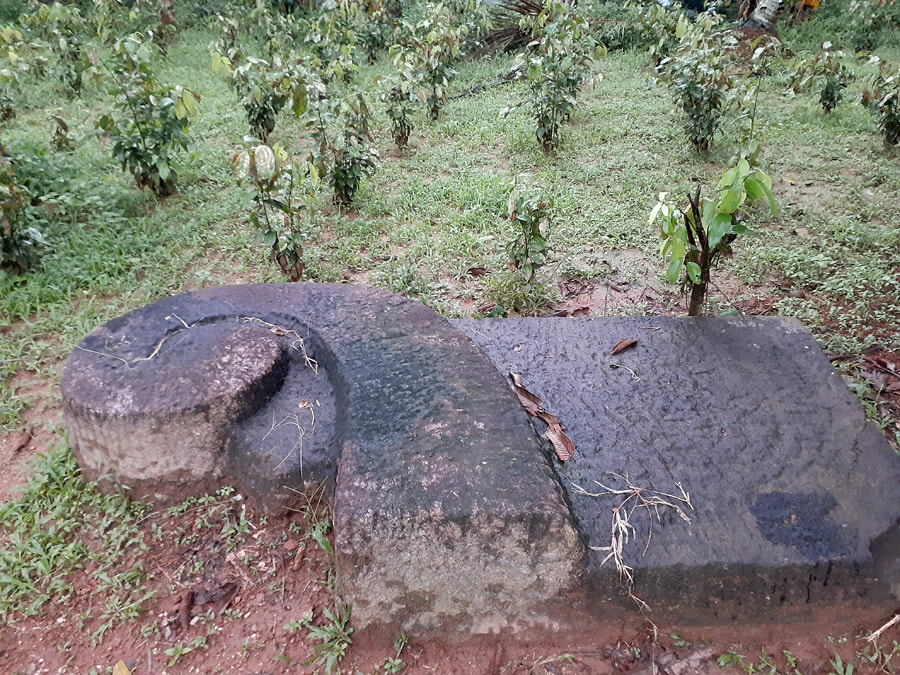 carved stone at the Barandi Kovil from the Seethawaka period