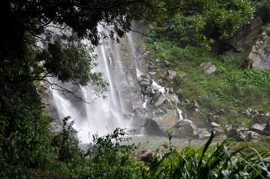 base of Bambarakanda waterfalls in the jungle
