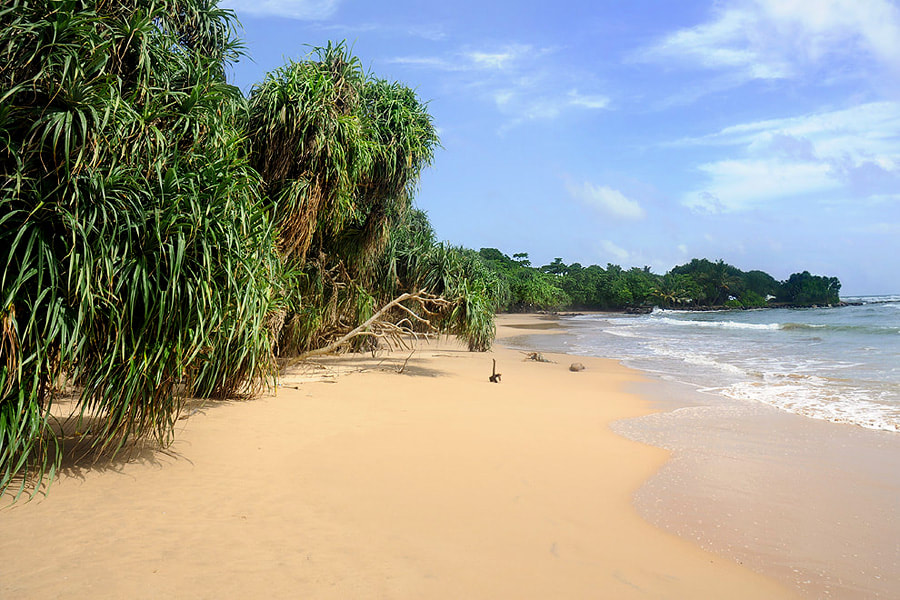 Bentota Beach in Galle District