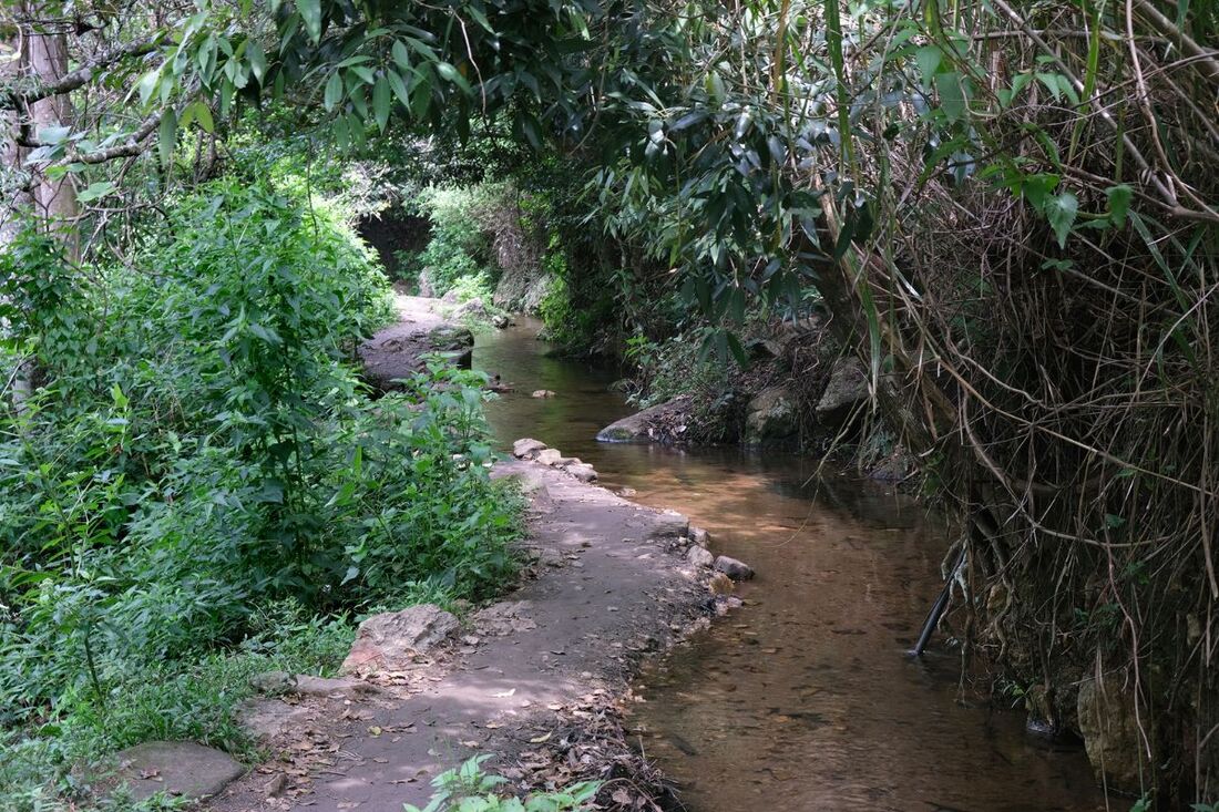 Bomburu Ella hiking trail along the irrigation channel in Perawella