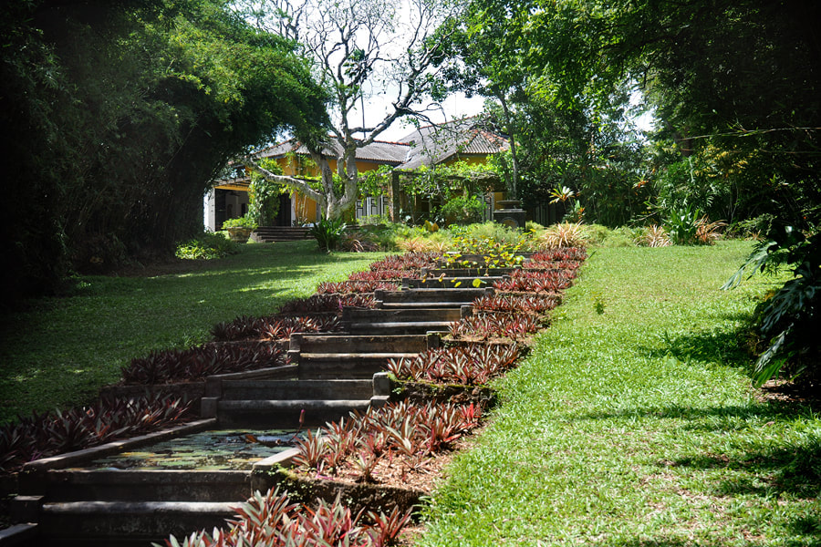 Brief Garden near Aluthgama