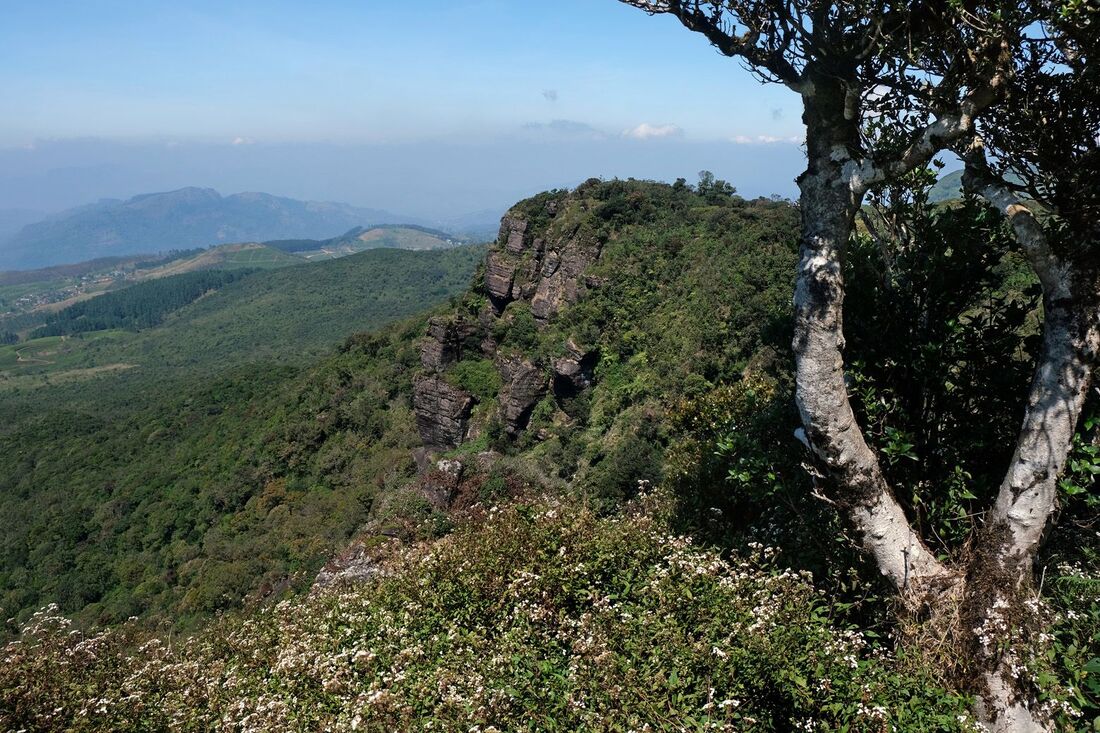 view from Chariot Path high above Frotoft Tea Estate to the direction of Pussellawa