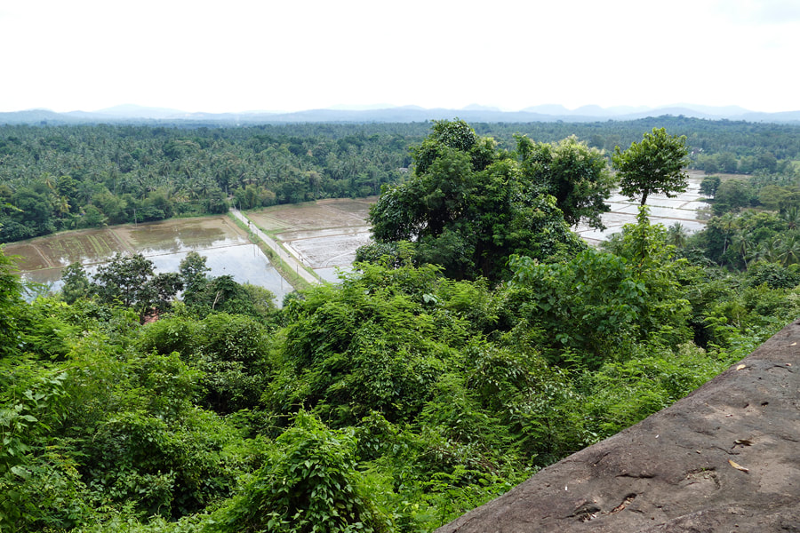 vista from Dambadeniya Rock