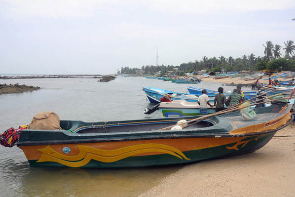 Fischereihafen bei Point Pedro im äußersten Norden Sri Lankas