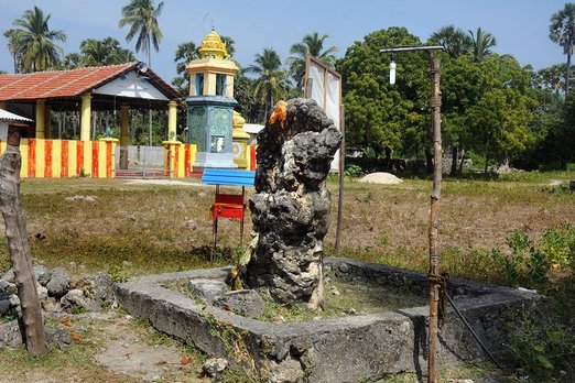 sogenannter wachsender Stein auf der Insel Delft vor Sri Lanka 