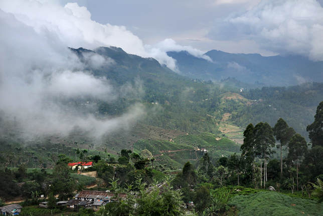 southern mountain range near Haputale in Sri Lanka's hillcountry