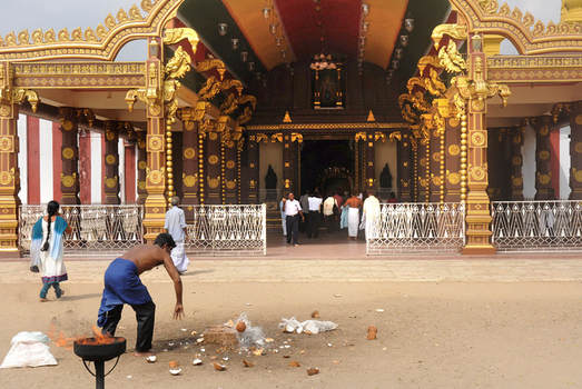 Coconut smashing in front of a Murugan shrine in Nallur 