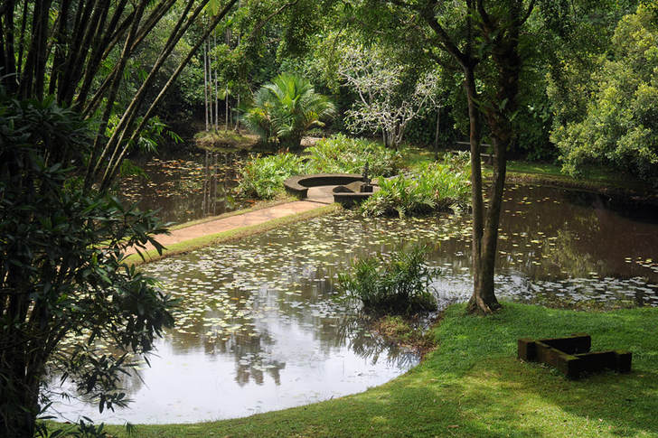 view from the Red Terrace to Lunuganga's water garden