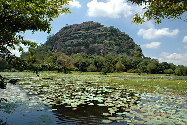 Yapahuwa Rock in Sri Lanka