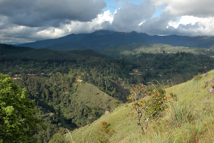 view to Ella and Namunukula mountain range