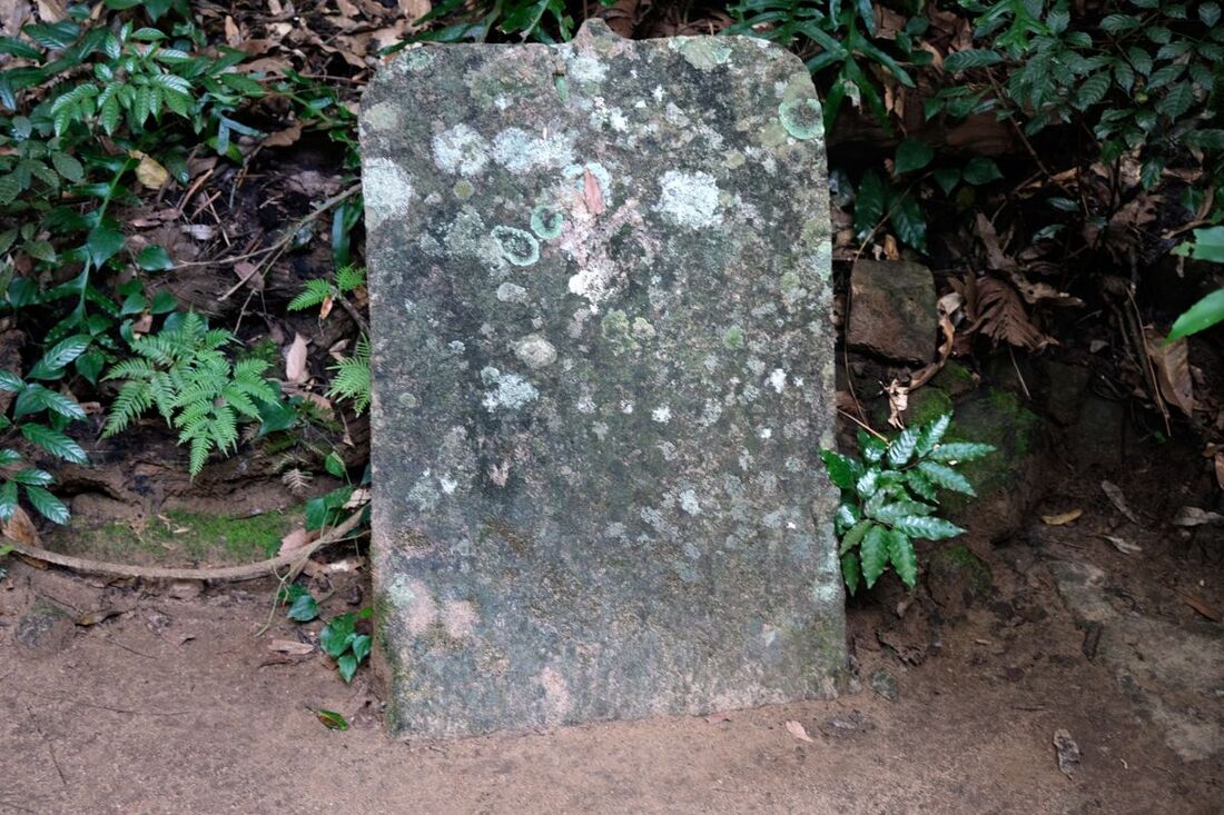 plain guard stone at the Padhanagara monastery excavated near Gurulupotha in the northeast of Sri Lanka's highlands