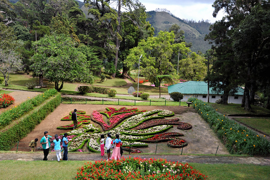 Botanical garden in Sri Lanka's highland village of Hakgala