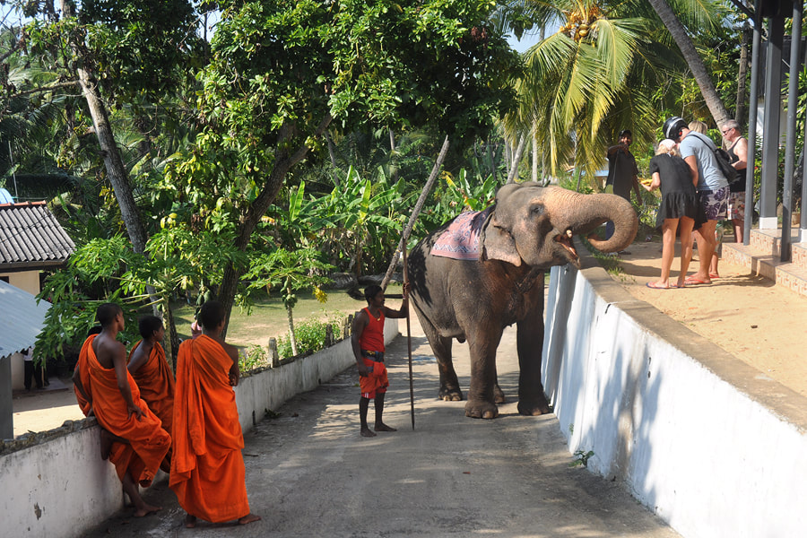 starting point of elephant rides at Kumarakanda Temple
