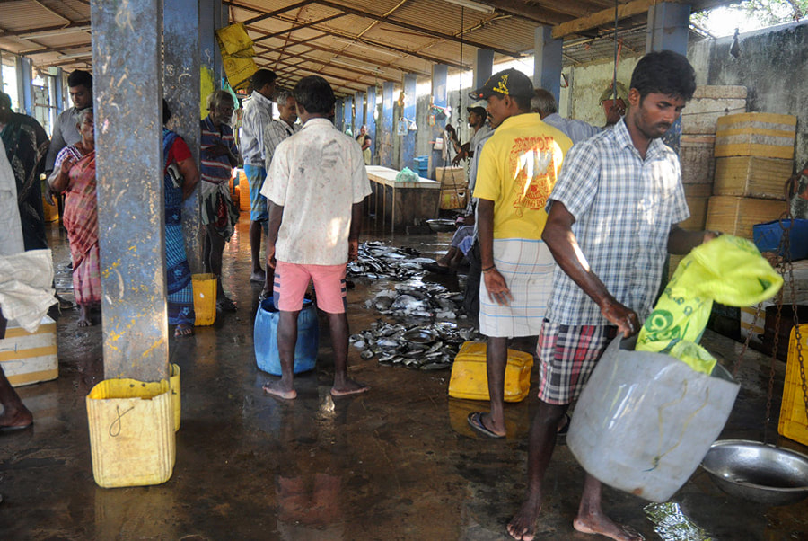 Market complex in Jaffna city