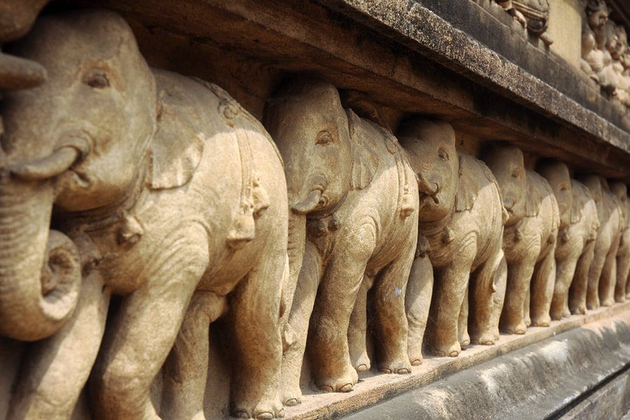 elephant frieze at the Kelaniya temple in Sri Lanka