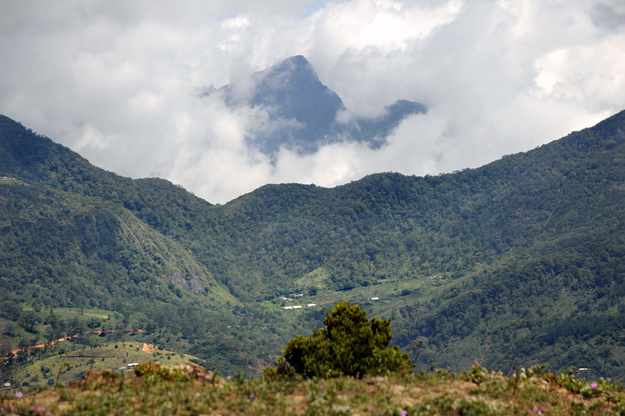 peak of Alugala Kanda behind the pass of Corbett's Gap in Sri Lanka's Knuckles Range