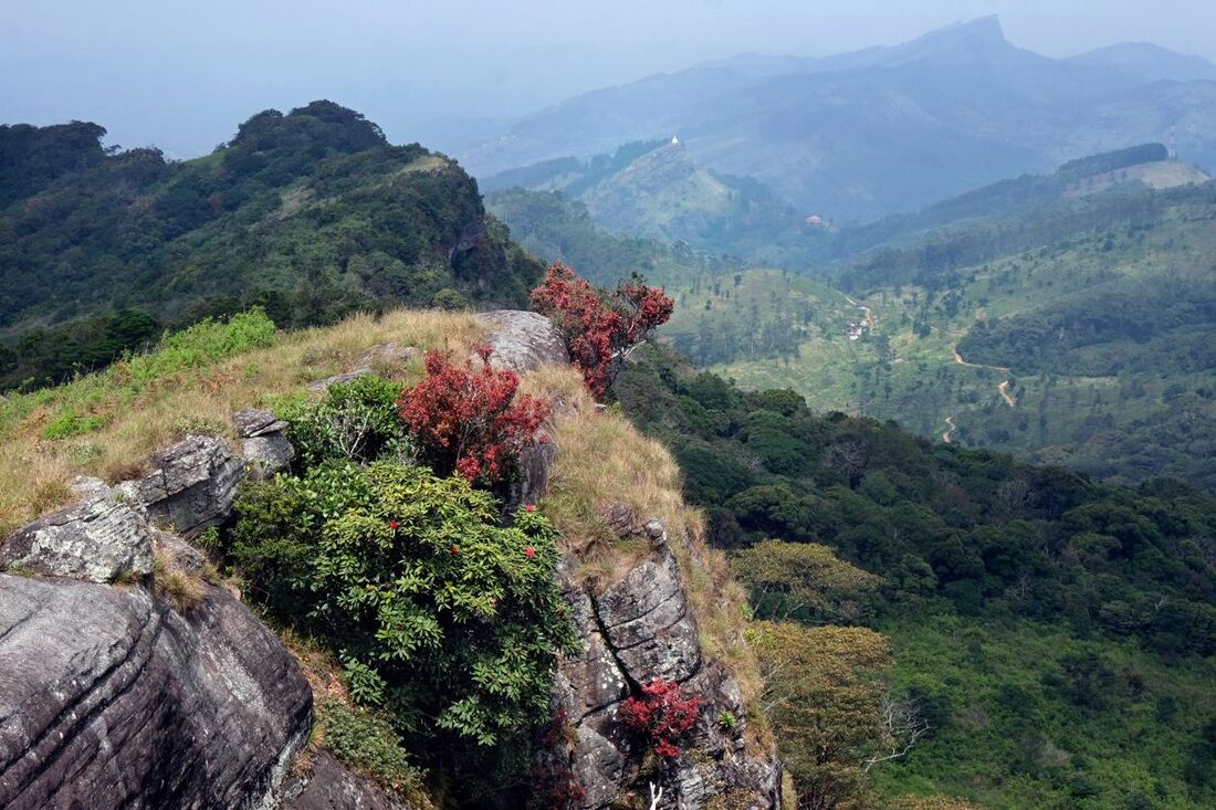 view from Kondagala Rock in Loolecondera Tea Estate to Urugala mountain of Kandy's Hanthana Range