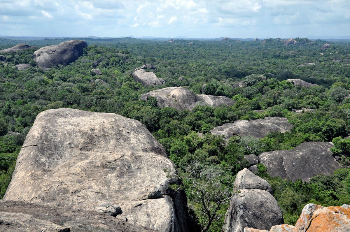 view from Kudumbigala rock to Kumana National Park in the south