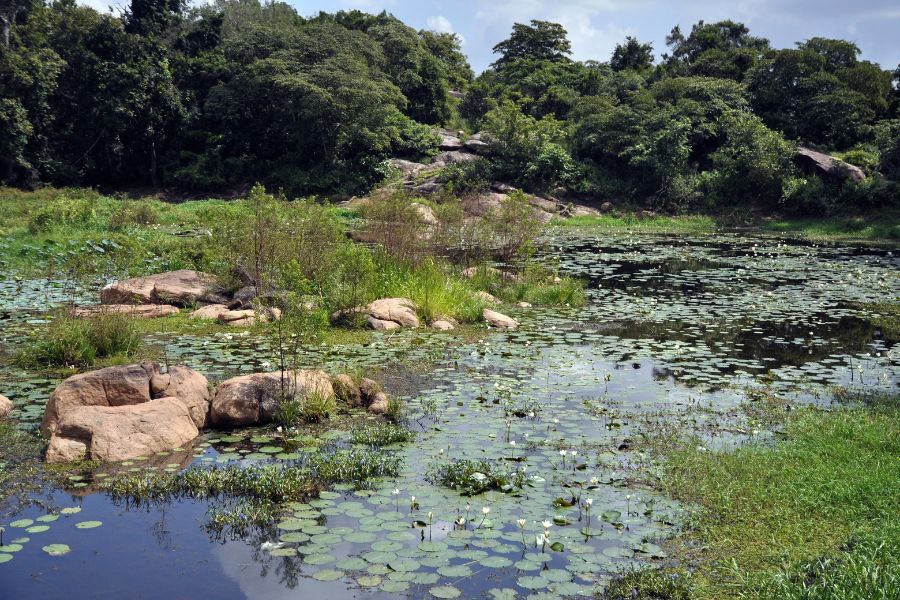 pond marking the outer boundary of the ancient monastery of Lahugala in southeastern Sri Lanka