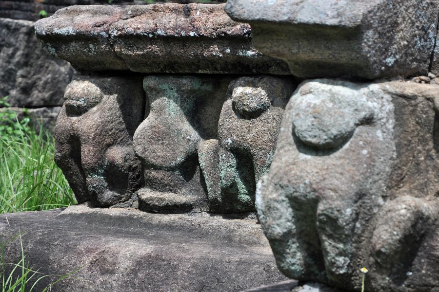 frieze of lion sculptures at the so-called wedding terrace of Lahugala