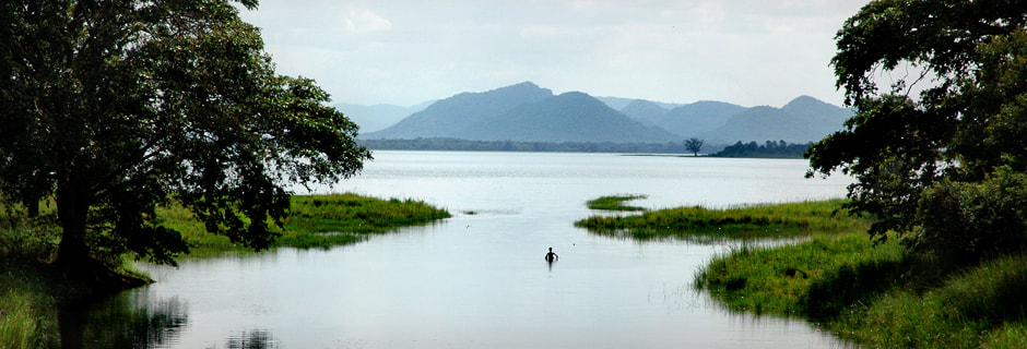Lake Minneriya in Sri Lanka's North Central Province