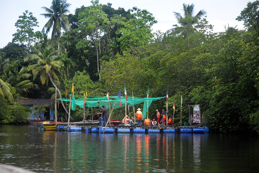 Fish Massage Spa at Madu River in Sri Lanka