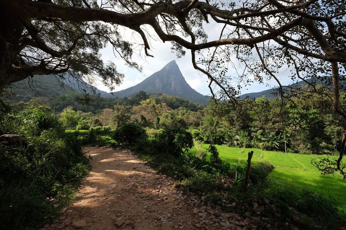 triangular Lakegala mountain in Sri Lanka's Knuckles Range seen from the Bo-tree in Meemure