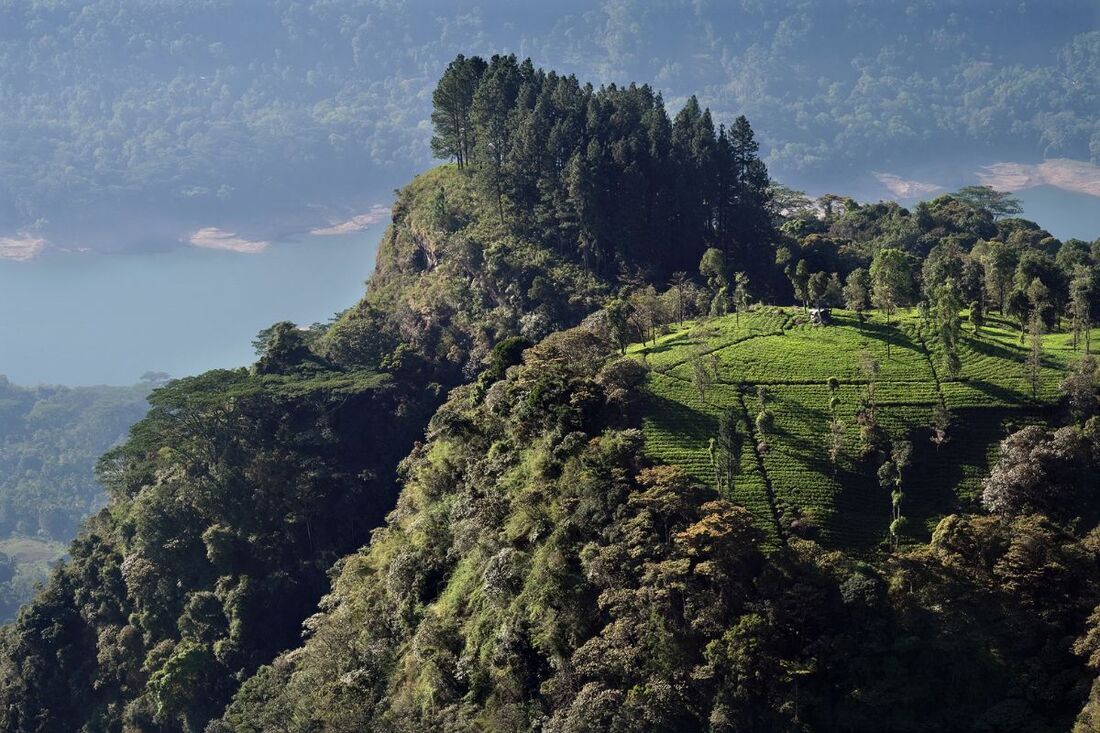 view from the top to a subsidiary summit of the Peacock Hill in Nuwara Eliya District in Sri Lanka