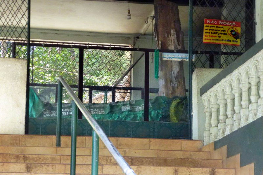 Tomb of Gale Bandara in Kurunegala